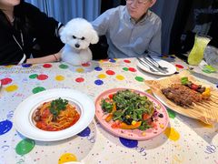 -百好乐宠物友好餐厅(朝外大街店)