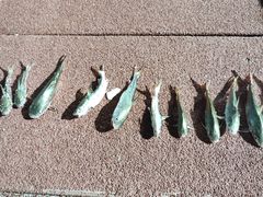 -淇沙湾渔村餐厅