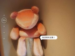 -Punchline Coffee&Roaster(同济大学店)