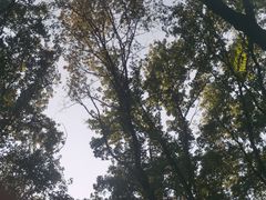 -东湖生态旅游风景区