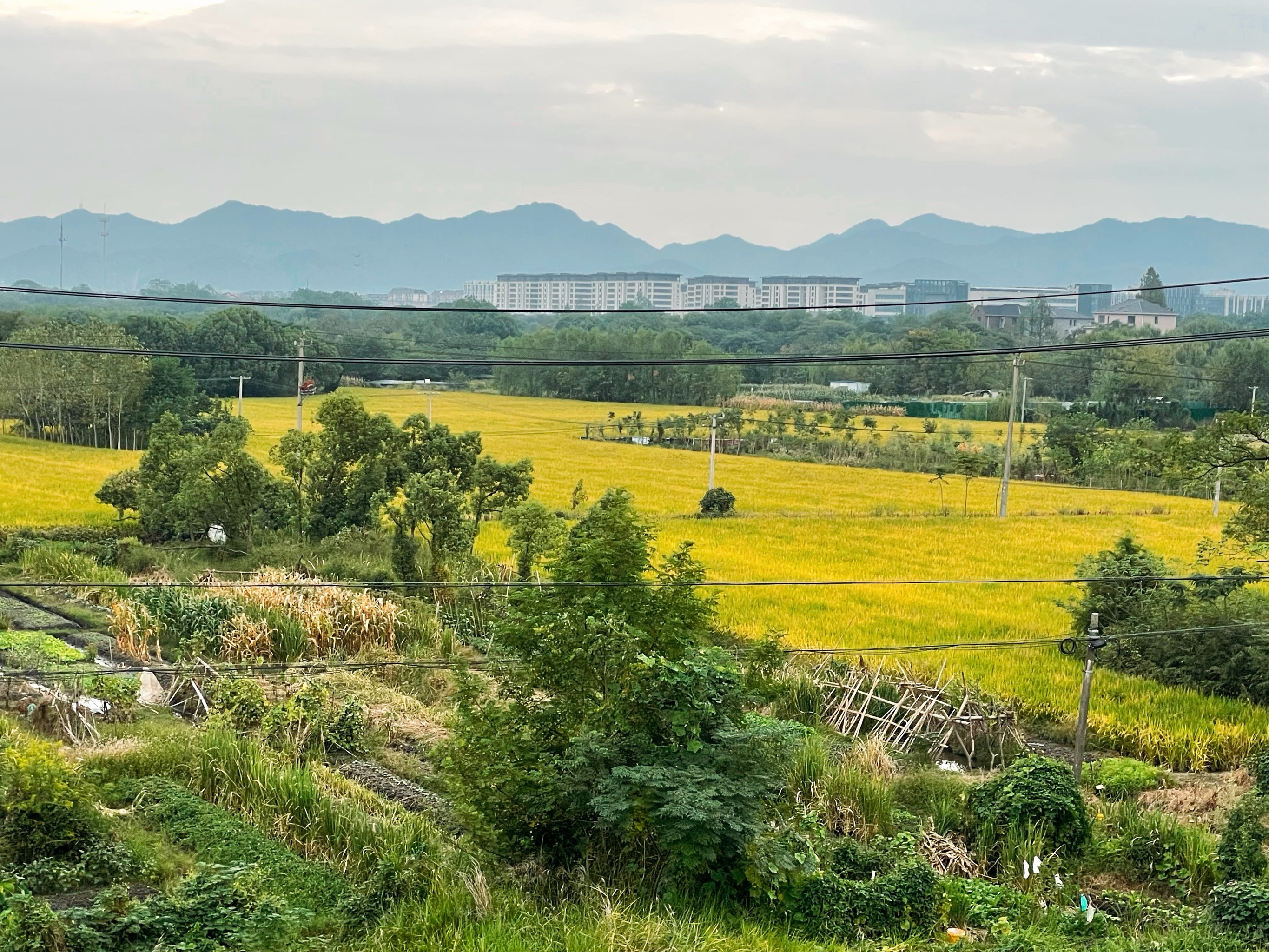 农村田野风景照片图片