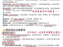 -大雁塔北广场音乐喷泉