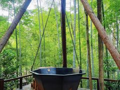 -天目湖御水温泉·度假酒店