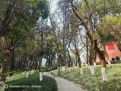 -重庆市江北嘴中央商务区中央公园