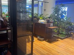 -同仁四季椰子鸡(宝安壹方城店)