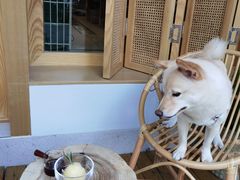 -Fruiffee Cafe 果啡派