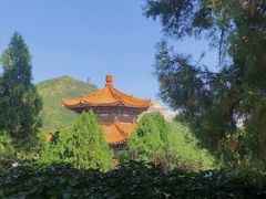 -龙口南山旅游景区