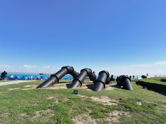 -南汇嘴观海公园