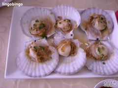 元贝-海岛渔村大酒店(云霄路店)