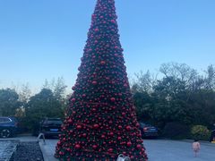 -上海崇明金茂凯悦酒店