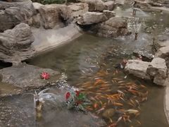 -森谷美食公园(杨行店)