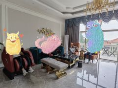 -标记烧鹅(美林湖店)