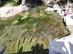 -水磨沟公园