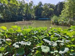 -北京动物园-畅观楼