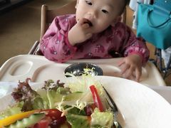 -哈布斯扒房(华发商都店)