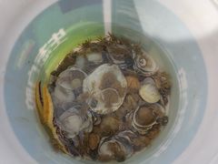 -日照海滨国家森林公园