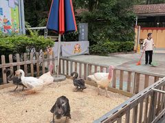 -广州长隆国际大马戏