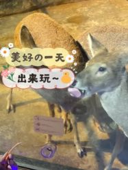 -未来动物城动物主题公园(大悦城店)