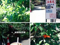 -南丫岛