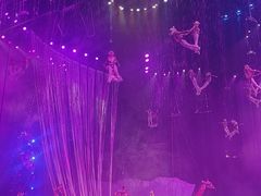 -广州长隆国际大马戏