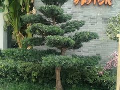 门面-吴越荣记·苏州菜·松鼠桂鱼(斜塘老街店)
