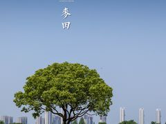 -九里河湿地公园