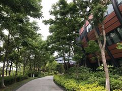 -上海滴水湖皇冠假日酒店