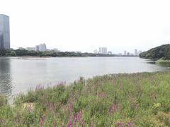 -南宁南湖公园
