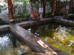 -西安国际创新人才交流中心•药浴温泉