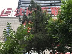 -沈阳百联购物中心(青年大街店)