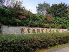 -重庆彩云湖湿地公园