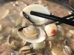 -拾下卜卜贝•海鲜火锅