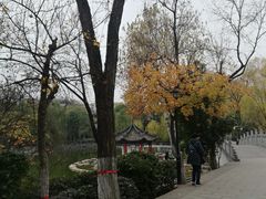 -莲湖公园