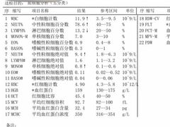 -313羊庄(丁卯镇江总店)