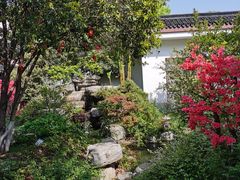 -长田漾湿地公园