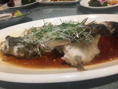 -沙田轩(古北店)