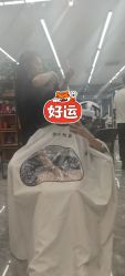 点击看大图 -藤野造型