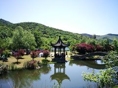 -石塘人家