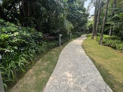 -广州香格里拉酒店