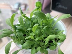 -丰茂烤串(外滩星荟中心店)