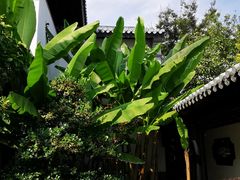-上海皇廷花园酒店·西餐厅·自助餐