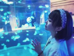 -华夏文旅海洋公园