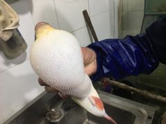 -瀏河老街土菜館(浏河店)