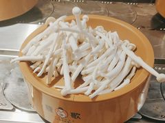 -龍歌自助小火锅(崂山丽达店)