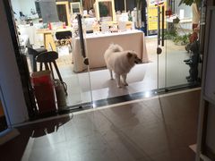 -肆兮眼镜·蔡司·徕卡战略合作店(大坪店)