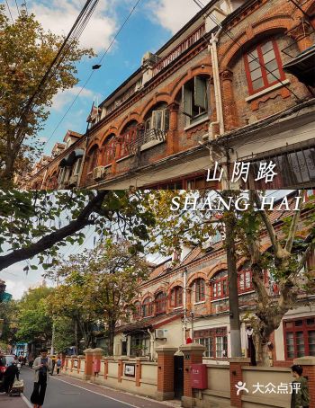 上海适合秋天漫步的小马路虹口【山阴路】
