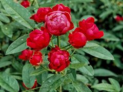 -人民公园(罗湖区)