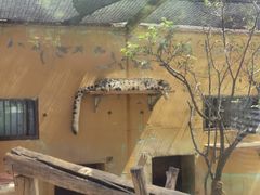 -青藏高原野生动物园