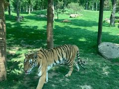 -北京野生动物园