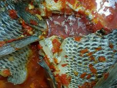 -风鑫铃罗非鱼(道沟店)
